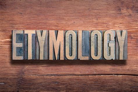 coach etymology